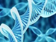 Генетично изследване доказа, че македонците нямат нищо общо с Александър Велики и древните македони makedontsite genetichno izsledvane news