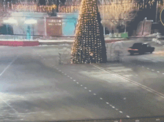 Late-night joyride ends in disaster as driver smashes into towering Christmas tree on camera 2025 Late-night joyride ends in disaster as driver smashes into towering Christmas tree on camera 2025