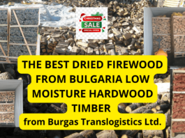 FireWood from Bulgaria OAK , ASH , BEECH , HORNBEAM , CHERRY HARDWOOD , BIRCH , ACACIA , ALDER, OLIVE