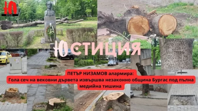 Петър Низамов местни избори Бургас картина на отрязани дървета и обезлесени улици се вижда по улиците на Бургас и в Морската градина на града, споделя Петър Низамов! Петър Низамов местни избори Бургас