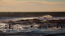 The Black Sea in Peril: The Echoes of War Ripple Beyond Borders The Black Sea in Peril: The Echoes of War Ripple Beyond Borders