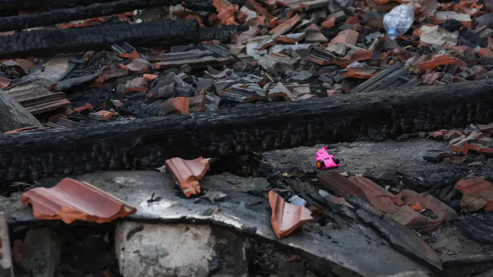 Cumhuriyet artık kimsesizlerin kimsesi değil: beş çocuk ve bir anneye borcumuz var cumhuriyet artik kimsesizlerin kimsesi degil bes cocuk ve bir anneye borcumuz var iustitia. Bg aras bulut, masal işık, aslan miraç, funda peri, fadime nefes... Hepsi kardeşti. En küçüğü 1, en büyüğü 5... Iustitia. Bg cumhuriyet artık kimsesizlerin kimsesi değil: beş çocuk ve bir anneye borcumuz var 2025-10-29 01:11:07 adalet - iustitia. Bg