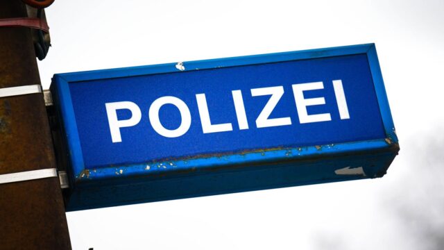 Kriminalität: Erhängte Katze gefunden - Polizei ermittelt