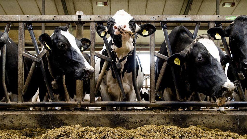 Natuur- en klimaatdoelen halen in 2050 kan, maar opgave is enorm - gerechtigheid - iustitia. Bg Natuur- en klimaatdoelen halen in 2050 kan, maar opgave is enorm natuur en klimaatdoelen halen in 2050 kan maar opgave is enorm nederland kan er over 25 jaar veel groener uitzien, met meer natuur, meer soorten die hier voorkomen en schoner... Iustitia. Bg natuur- en klimaatdoelen halen in 2050 kan, maar opgave is enorm 2025-10-16 12:24:50 gerechtigheid - iustitia. Bg