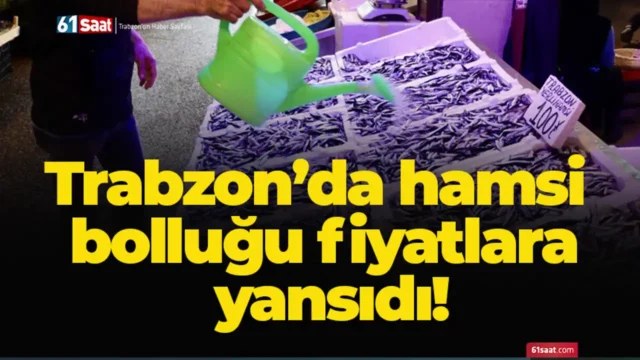 Trabzon’da hamsi bolluğu fiyatlara yansıdı! Trabzon’da hamsi bolluğu fiyatlara yansıdı!