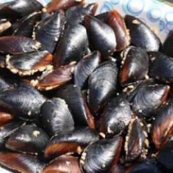 Ortaköy'de midye yiyen 2 çocuk ve anne hayatını kaybetti, baba entübe edildi!