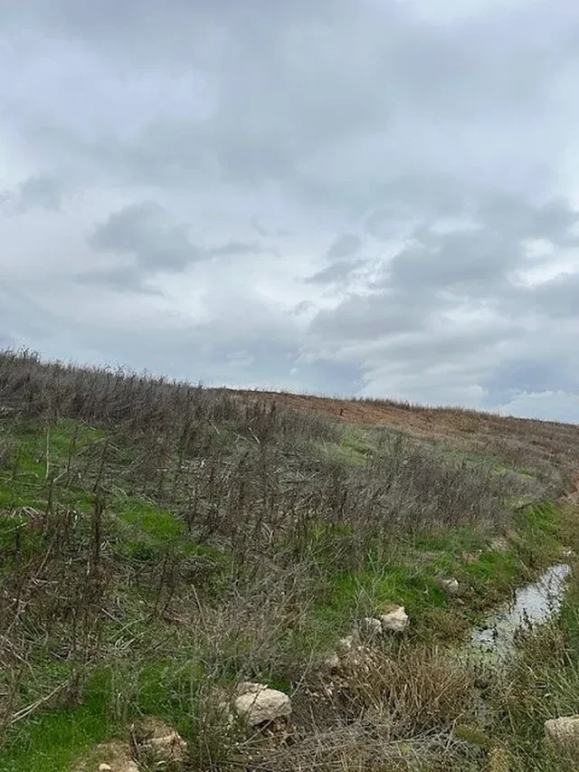 Закриха депото на наш завод. Има ли опасност? 2025