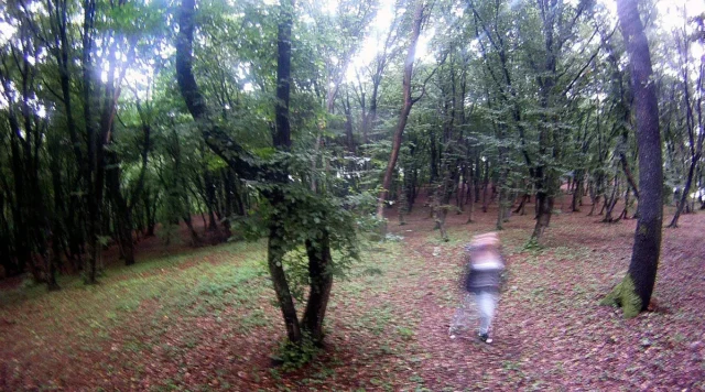 Няма да повярвате! В съседна на нас държава има "Бермудски триъгълник" 2025