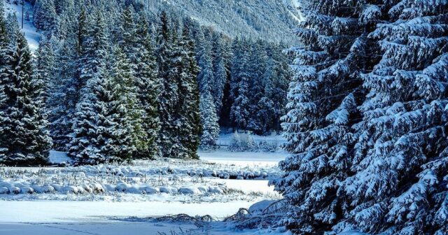 Прогнозата за декември. Ето кога идва рязката промяна във времето, а за Коледа и Нова година... 2025