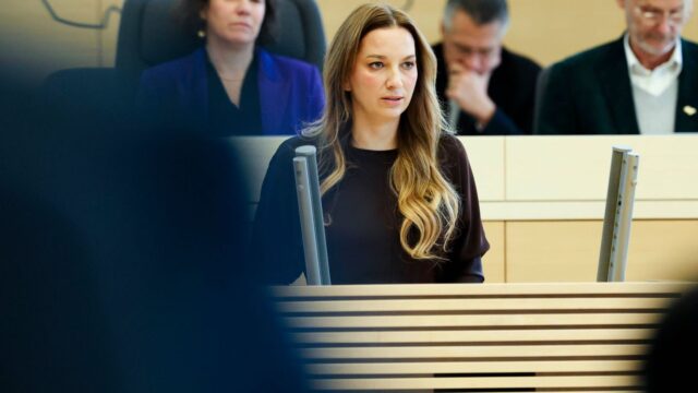 Gesetzentwurf: Schwarz-Grün will Verfassungsschutz stärken 2025