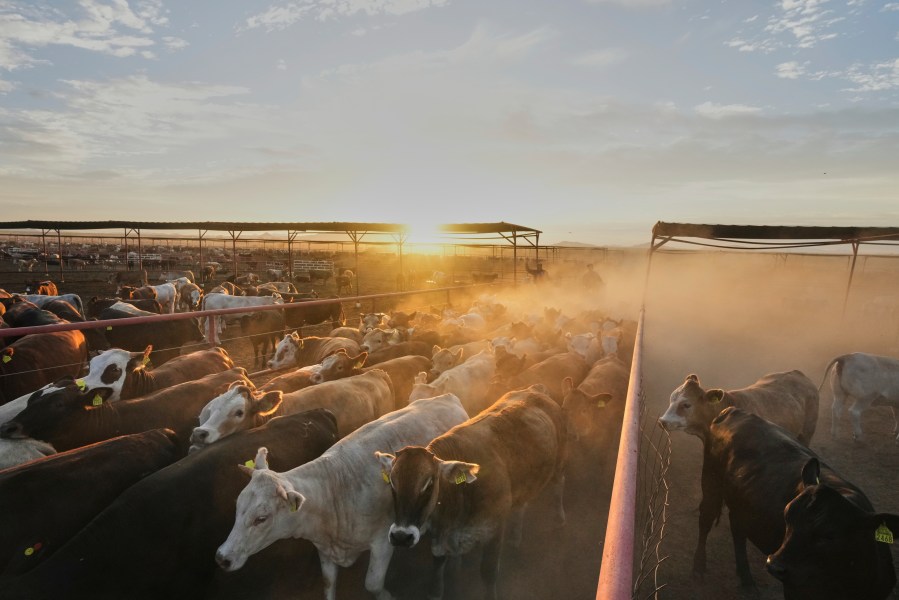 Argentina gop lawmakers question 'long-term fairness' of trade boost to argentinian beef gop lawmakers question long term fairness of trade boost to argentinian beef argentina mcallen, texas (border report) -- a letter sent by over a dozen gop lawmakers questions the "long-term fairness” by... Iustitia. Bg gop lawmakers question 'long-term fairness' of trade boost to argentinian beef 2025-11-01 16:01:55 justice - iustitia. Bg argentina
