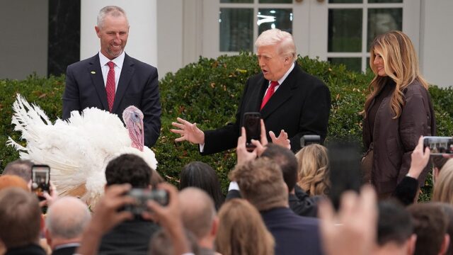 How the White House turkey pardon became an American tradition 2025