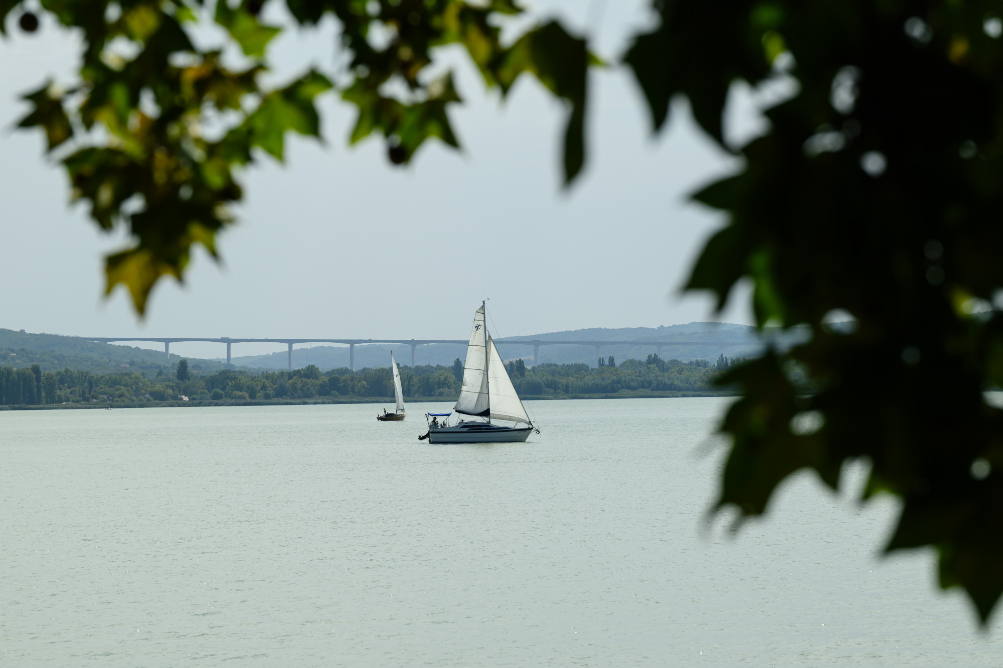 Balaton petícióval tiltakoznak a helyiek fonyód utolsó szabad vízparti területének beépítése ellen 2025 peticioval tiltakoznak a helyiek fonyod utolso szabad vizparti teruletenek beepitese ellen 2025 balaton iustitia. Bg aláírásgyűjtéssel tiltakoznak a helyiek fonyód utolsó szabad... Iustitia. Bg petícióval tiltakoznak a helyiek fonyód utolsó szabad vízparti területének beépítése ellen 2025 2025-11-24 20:57:48 igazságszolgáltatás - iustitia. Bg balaton