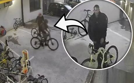 Snimljeni lopovi na Petrovaradinu, čovek očajan: Pogledajte kako kradu dva bicikla iz dvorišta! Snimljeni lopovi na Petrovaradinu, čovek očajan: Pogledajte kako kradu dva bicikla iz dvorišta! 2025