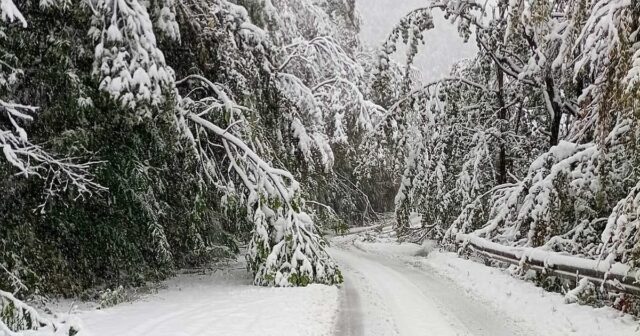 Основен наш проход е заледен! Основен наш проход е заледен! 2025