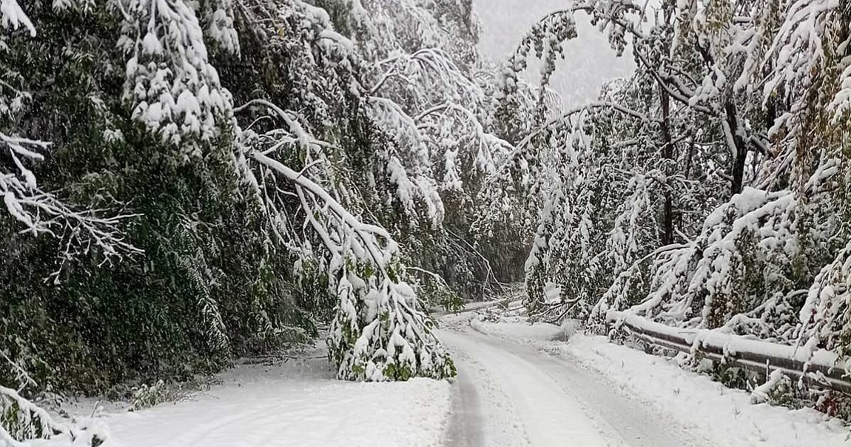 Основен наш проход е заледен! 2025 - юстиция Общество основен наш проход е заледен! 2025 d0bed181d0bdd0bed0b2d0b5d0bd d0bdd0b0d188 d0bfd180d0bed185d0bed0b4 d0b5 d0b7d0b0d0bbd0b5d0b4d0b5d0bd 2025 общество зимните проблеми по пътищата ни вече започнаха. Пътят през прохода "петрохан" е заледен. За това алармират... Iustitia. Bg основен наш проход е заледен! 2025 2025-12-24 22:10:56 юстиция общество