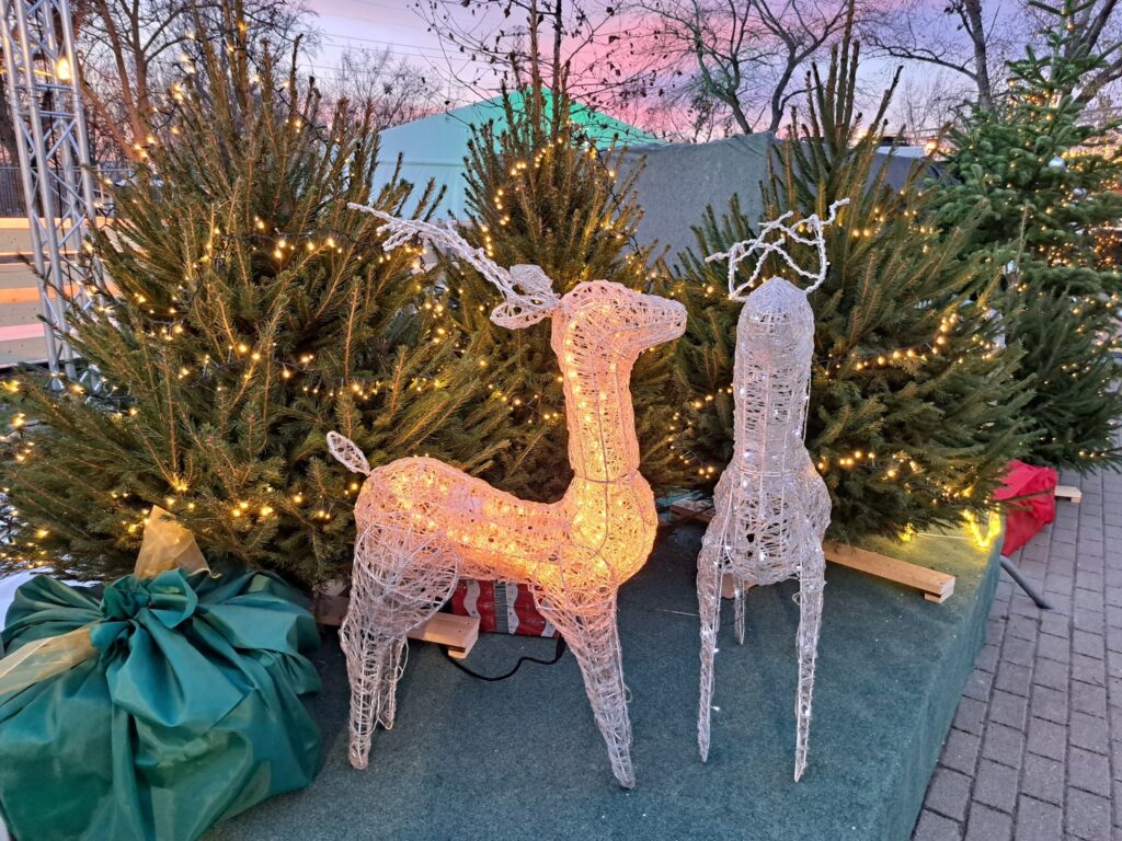 Advent dunakeszi jégvilág – megnyílt a város téli csodája 2025 dunakeszi jegvilag megnyilt a varos teli csodaja 2025 16 advent iustitia. Bg -advent első hétvégéjén ünnepi ragyogás költözött a katonadombra: közel 2000 négyzetméteren csillog a... Iustitia. Bg dunakeszi jégvilág – megnyílt a város téli csodája 2025 2025-11-29 20:22:37 igazságszolgáltatás - iustitia. Bg advent