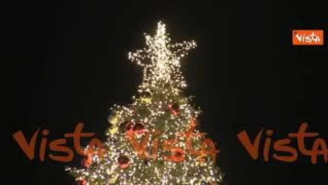 Ecco l'albero di Natale di Piazza del Popolo a Roma Ecco l'albero di Natale di Piazza del Popolo a Roma 2025