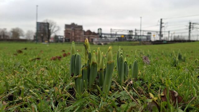 Zachte lucht wint terrein, vanavond nog graden in Zeeland Zachte lucht wint terrein, vanavond nog 14 graden in Zeeland 2025
