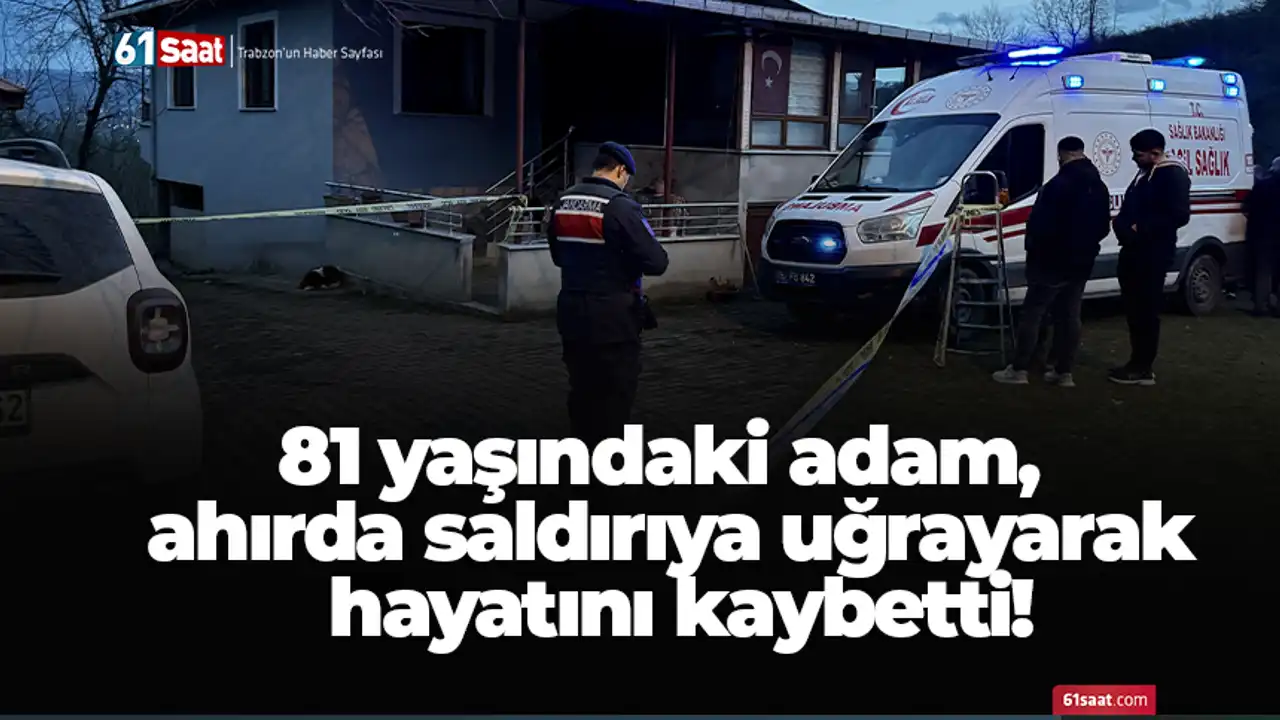 Bölgesel 81 yaşındaki adam, ahırda saldırıya uğrayarak hayatını kaybetti! 2026 81 yasindaki adam ahirda saldiriya ugrayarak hayatini kaybetti 2026 bölgesel iustitia. Bg kumrulu mahallesi'nde evlerinin yanındaki ahıra giden birgül öztürk (75), eşi öztürk'ün yerde hareketsiz... Iustitia. Bg 81 yaşındaki adam, ahırda saldırıya uğrayarak hayatını kaybetti! 2026 2026-01-08 19:43:00 adalet - iustitia. Bg bölgesel