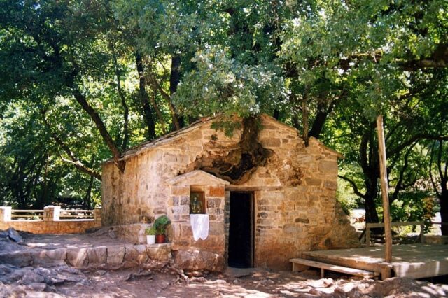Greece’s Miracle Church: 17 Oak Trees Sprout From Its Roof and Walls 2026