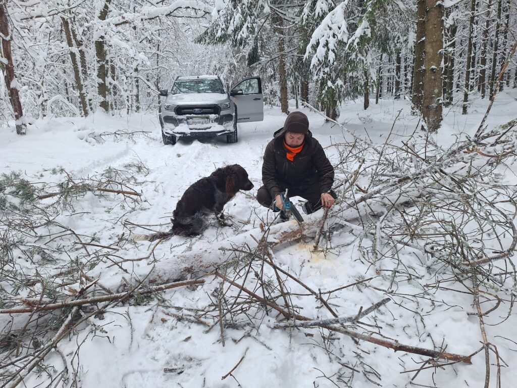 Gamta ir mes medžiotojai nuo bado gelbsti žvėris ir šviečia visuomenę 2026 medziotojai nuo bado gelbsti zveris ir sviecia visuomene 2026 1 gamta ir mes iustitia. Bg kai dabar daug sniego, a. Grigaitytė-dromantienė rogėmis tempia grūdus į žvėrių šėryklas medžiotojų klubo „veivirža“ medžioklės plotuose. Nuo gyvenamosios vietos iki šėryklos... Medžiotojai nuo bado gelbsti žvėris ir šviečia visuomenę 2026 2026-01-15 15:49:00 teisingumas - iustitia. Bg gamta ir mes