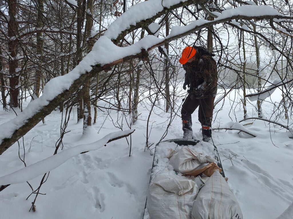 Gamta ir mes medžiotojai nuo bado gelbsti žvėris ir šviečia visuomenę 2026 medziotojai nuo bado gelbsti zveris ir sviecia visuomene 2026 2 gamta ir mes iustitia. Bg kai dabar daug sniego, a. Grigaitytė-dromantienė rogėmis tempia grūdus į žvėrių šėryklas medžiotojų klubo „veivirža“ medžioklės plotuose. Nuo gyvenamosios vietos iki šėryklos... Medžiotojai nuo bado gelbsti žvėris ir šviečia visuomenę 2026 2026-01-15 15:49:00 teisingumas - iustitia. Bg gamta ir mes