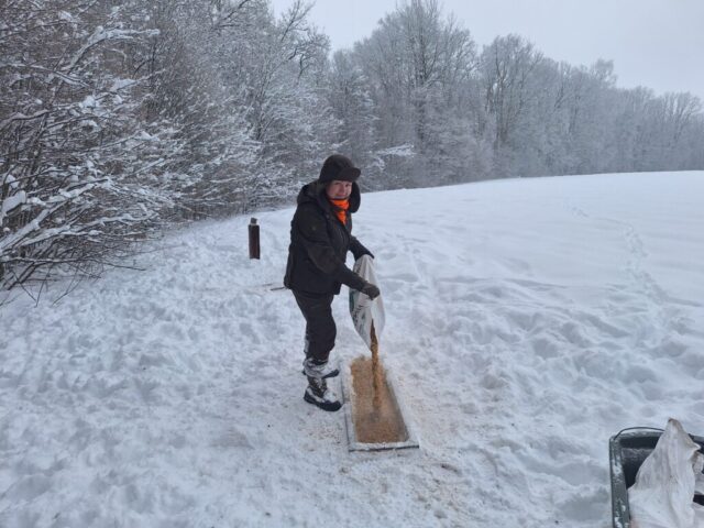 Medžiotojai nuo bado gelbsti žvėris ir šviečia visuomenę 2026