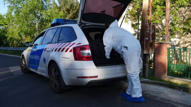 Saját kutyái falták fel a mélykúti férfi testét, alig maradt belőle valami (18+) 2026