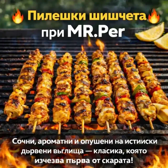 Пилешки шишчета MR.Per на дървени въглища 2026