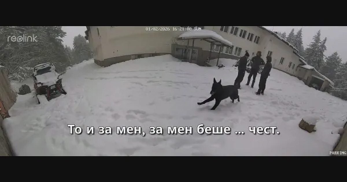 Прокуратурата за "петрохан": има свидетелски показания за сексуални контакти с деца 2026 - юстиция Общество прокуратурата за "петрохан": има свидетелски показания за сексуални контакти с деца 2026 prokuraturata petrohan ima svidetelski pokazaniya seksu общество под ръководството на окръжните прокуратури в софия и във враца продължават активните действия по разследване по... Iustitia. Bg прокуратурата за "петрохан": има свидетелски показания за сексуални контакти с деца 2026 2026-02-12 09:34:25 юстиция общество