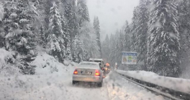 Сняг на парцали затрупва половин България Сняг на парцали затрупва половин България 2026
