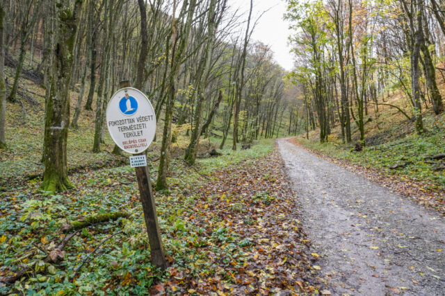 Szigorúbb büntetés jöhet a túrázót meglövő vadász ügyében Szigorúbb büntetés jöhet a túrázót meglövő vadász ügyében 2026