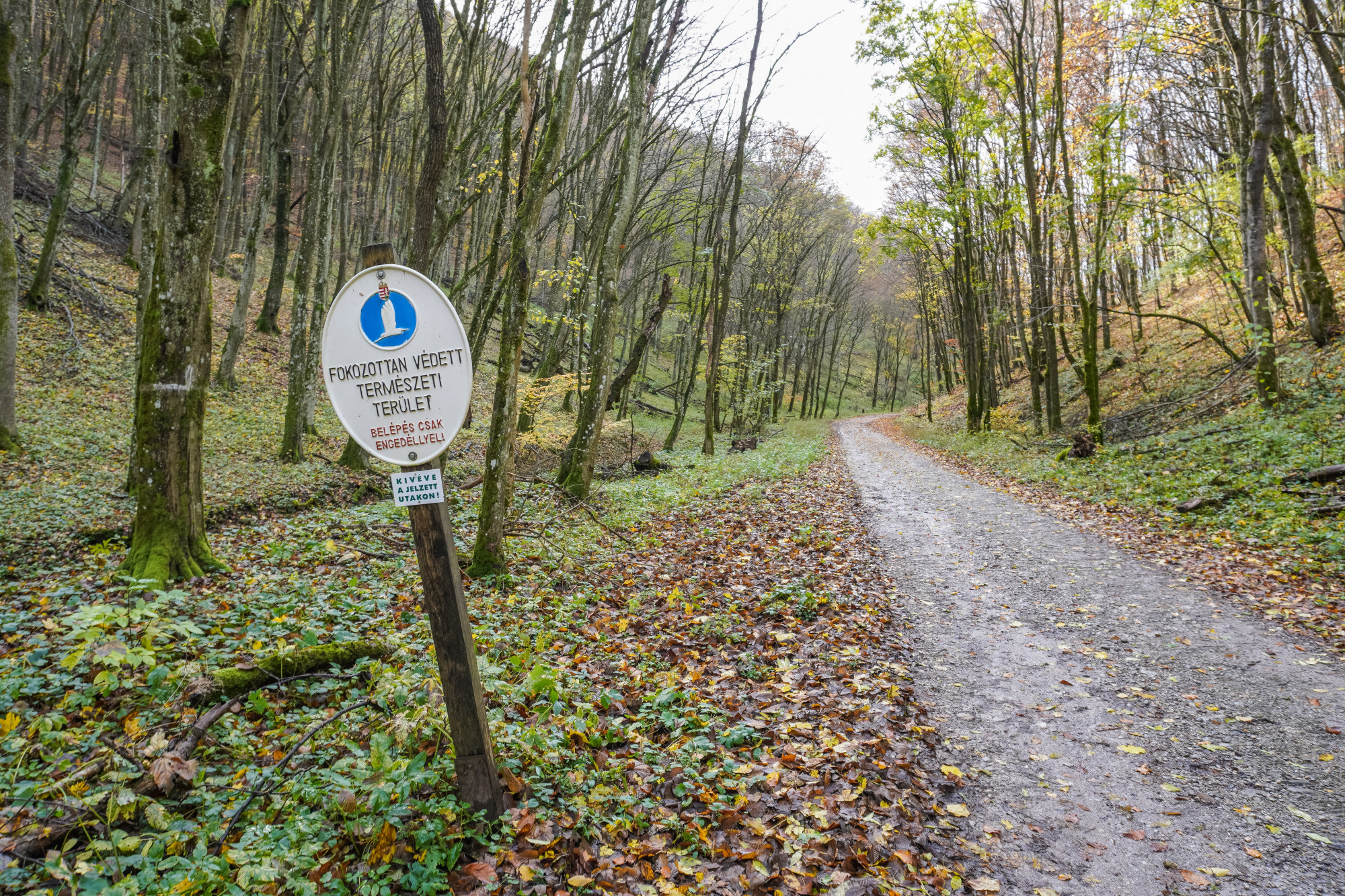 Szigorúbb büntetés jöhet a túrázót meglövő vadász ügyében 2026 - igazságszolgáltatás - iustitia. Bg Kamera szigorúbb büntetés jöhet a túrázót meglövő vadász ügyében 2026 szigor ntet het megl vad ben 2026 kamera iustitia. Bg szigorúbb büntetést kaphat a vadász, aki hőkamerával célozva... Iustitia. Bg szigorúbb büntetés jöhet a túrázót meglövő vadász ügyében 2026 2026-02-17 15:56:37 igazságszolgáltatás - iustitia. Bg kamera