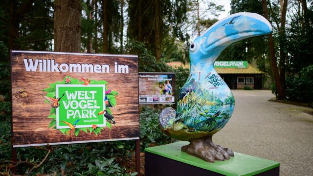Tierseuche: Vogelgrippe im Vogelpark Walsrode nachgewiesen 2026