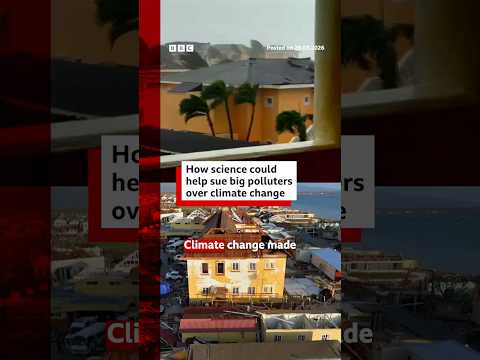 How science could help sue big polluters over climate change. #AttributionScience #BBCNews 2026