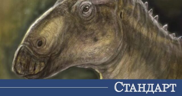 Откриха нов вид динозавър 2026