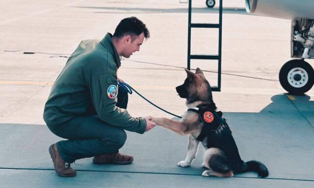 Un pilot român de avioane de vânătoare F-16 a murit după ce a încercat să salveze un câine căzut într-un bazin cu apă 2026