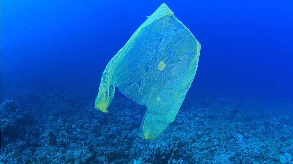 Study Finds Deepest Point of Mediterranean in Greece’s Ionian Sea Is Full of Litter 2026