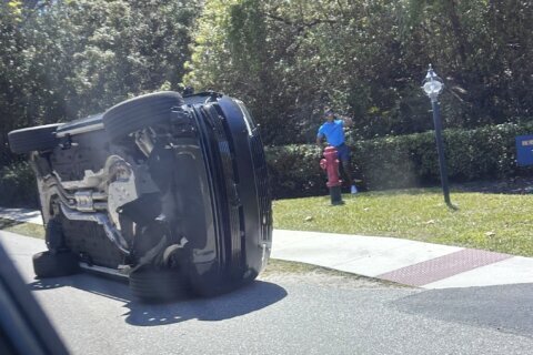 Tiger Woods released on bail hours after arrest at crash scene on suspicion of DUI 2026