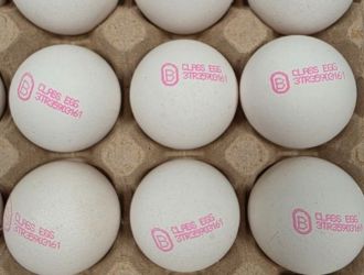 Общество бабх спря почти 1,3 млн. Турски яйца на "капитан андреево" 2026 babh sprya pochti mln turski yaytsa kapitan andreevo 20 1 общество почти 1,3 млн. Яйца за преработка (клас в) от турция са спрени на гкпп &bdquo;капитан андреево&ldquo;. Общото количество от около 82 тона е превозвано с четири товарни автомобила с турска... Iustitia. Bg бабх спря почти 1,3 млн. Турски яйца на "капитан андреево" 2026 2026-04-16 10:35:26 юстиция общество