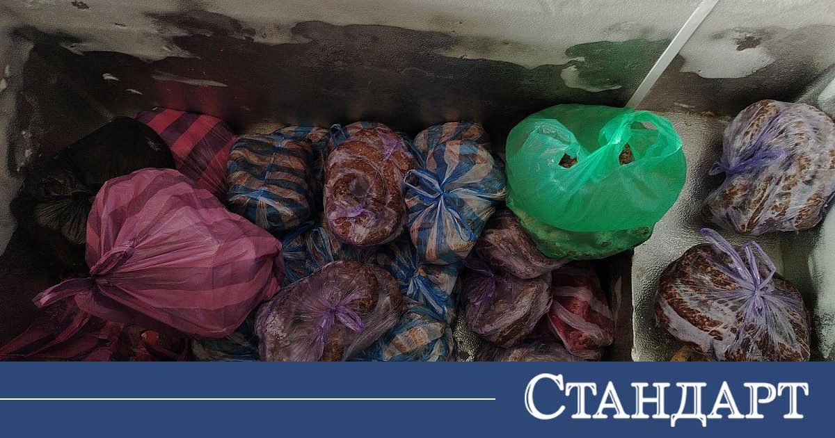 Юстиция юстиция | разследваща журналистика, новини, анализи | iustitia. Bg | юстиция babh zatvori oshte dve klanitsi 2026 юстиция jtndysuymghyzwylm0qlmjjodhrwcyuzqsuyriuyrm5ld3muz29vz2xllmnvbsuyrnb1ymxpy2f0aw9ucyuyrknbqxfcd2dltuxqnxlrc3c4nvroqxclm0zjzwlkjtneqkclm0fizyuynmftccuzqm9jjtnemyuymiuzrsuzq2ltzyuymgnsyxnzjtnejtiyywxpz25jzw50zxilmjb3cc1pbwfnzs0xnju3jtiwc2l6zs1mdwxsjtiyjtiwdgl0bgulm0qlmjilrdalqjmlrdelodmlrdalqjmlrdeloeelrdalqkilmjalrdalqkqlrdalqkulrdalqjilrdalqjglrdalqkqlrdalqjglmkmlmjalrdalqjmlrdalqkulrdalqkulrdalqjmlrdalqkilrdalqjulmjalrdalqkqlrdalqkulrdalqjilrdalqjglrdalqkqlrdalqjglmkmlmjalrdalqjmlrdelodmlrdalqjmlrdeloeelrdalqkilmjalrdalqkqlrdeloeulrdalqjclmkmlmjalrdalqjmlrdeloeelrdalqjmlrdeloeelrdalqkilmjalrdalqkqlrdeloeulrdalqjclmkmlmjbnb29nbgulmjbuzxdzjtjdjtiwbmv3cyuymgdvb2dszsuyqyuymgdvb2dszs5izyuyqyuymg5ld3muz29vz2xllmjnjtjdjtiwjuqwjuffjuqxjtgxjuqxjtgyjuqwjui4juqxjtg2juqwjui4juqxjthgjtjdjtiwjuqwjujejuqwjujfjuqwjuiyjuqwjui4juqwjujejuqwjui4jtjdjtiwjuqwjujgjuqwjujfjuqxjtgxjuqwjujcjuqwjui1juqwjui0juqwjujejuqwjujfjuqxjtgyjuqwjujfjtjdjtiwjuqwjujejuqwjuiwjuqwjui5lsvemcvcmivemcvcmcvemcvcnivemcvcrcvemcvcrsvemsu4mivemcvcrsuyqyuymcvemcvcmivemcvcocvemcvcncvemcvcnsvemcvcrsuyqyuymcvemsu4mivemcvcnsvemcvcqivemcvcnsvemcvcmivemcvcocvemcvcnyvemcvcocvemsu4riuyqyuymcvemsu4mcvemcvcmcvemcvcncvemcvcocvemcvcrsuyqyuymcvemcu5rcvemcvcrsvemcvcmivemcvcocvemcvcrcvemcvcocuyqyuymcvemcvcrivemcvcnsvemsu4mivemsu4qsvemsu4mcuymcvemcvcrcvemcvcocvemcvcnyvemcvcmcvemcvcqyvemcvcrsvemcvcmiuymiuymhnyyyuzrcuymmh0dhalm0elmkylmkz3d3cuaxvzdgl0aweuymclmkz3cc1jb250zw50jtjgdxbsb2fkcyuyrjiwmjmlmkywmyuyrkdvb2dszs1ozxdzlwl1c3rpdglhlwjnlxbldgfylw5pemftb3yud2viccuymiuymgfsdcuzrcuymivemcvcmyvemsu4myvemcvcmyvemsu4qsvemcvcqiuymcvemcvcrcvemcvcrsvemcvcmivemcvcocvemcvcrcvemcvcocuyqyuymcvemcvcmyvemcvcrsvemcvcrsvemcvcmyvemcvcqivemcvcnsuymcvemcvcrcvemcvcrsvemcvcmivemcvcocvemcvcrcvemcvcocuyqyuymcvemcvcmyvemsu4myvemcvcmyvemsu4qsvemcvcqiuymcvemcvcrcvemsu4rsvemcvcnyuyqyuymcvemcvcmyvemsu4qsvemcvcmyvemsu4qsvemcvcqiuymcvemcvcrcvemsu4rsvemcvcnyuyqyuymgdvb2dszsuymg5ld3mlmkmlmjbuzxdzjtiwz29vz2xljtjdjtiwz29vz2xllmjnjtjdjtiwbmv3cy5nb29nbguuymclmkmlmjalrdalquulrdelodelrdelodilrdalqjglrdelodylrdalqjglrdeloeylmkmlmjalrdalqkqlrdalqkulrdalqjilrdalqjglrdalqkqlrdalqjglmkmlmjalrdalqkylrdalqkulrdelodelrdalqkilrdalqjulrdalqjqlrdalqkqlrdalqkulrdelodilrdalqkulmkmlmjalrdalqkqlrdalqjalrdalqjktjuqwjuiyjuqwjuiwjuqwjui2juqwjujejuqwjujfjuqxjtgyjuqwjujfjtjdjtiwjuqwjuiyjuqwjui4juqwjui0juqwjui1juqwjujfjtjdjtiwjuqxjtgyjuqwjui1juqwjujcjuqwjui1juqwjuiyjuqwjui4juqwjui3juqwjui4juqxjthgjtjdjtiwjuqxjtgwjuqwjuiwjuqwjui0juqwjui4juqwjujfjtjdjtiwjuqwjtlejuqwjujfjuqwjuiyjuqwjui4juqwjujejuqwjui4jtjdjtiwjuqwjujgjuqwjui1juqxjtgyjuqxjthbjuqxjtgwjtiwjuqwjujejuqwjui4juqwjui3juqwjuiwjuqwjujdjuqwjujfjuqwjuiyjtiyjtiwd2lkdgglm0qlmjizmdalmjilmjbozwlnahqlm0qlmjixmdulmjilmjalmkylm0ulm0mlmkzhjtnfjtndadmlmjbzdhlszsuzrcuymnrlehqtywxpz24lm0elmjbjzw50zxilm0ilmjilm0ulm0nzdhjvbmclm0ulrdalqtalrdalqjulrdalqkelrdalqkilrdalqjalrdalqkmlrdalqjglrdelodalrdalqjalrdalqjklrdelodilrdalqjulmjalrdalqkylrdelodalrdalqjglmjalrdalqkqlrdalqjalrdelodehjtndjtjgc3ryb25njtnfjtndjtjgadmlm0ulmeqlmeelm0nhjtiwahjlziuzrcuymmh0dhbzjtnbjtjgjtjgaxvzdgl0aweuymclmkzyzwtsyw1pjtjgjtiyjtnfjtndaw1njtiwy2xhc3mlm0qlmjjhbglnbmnlbnrlciuymhdwlwltywdlltgxnda1jtiwc2l6zs1mdwxsjtiyjtiwdgl0bgulm0qlmjilrdalqtalrdalqjulrdalqkelrdalqkilrdalqjalrdalqkmlrdalqjglrdelodalrdalqjalrdalqjklrdelodilrdalqjulmjalrdalqkylrdelodalrdalqjglmjalrdalqkqlrdalqjalrdelodehjtiwjuqwjuffjuqwjuexjuqwjueyjuqwjtk4juqwjue2juqwjtk4juqwjufgjtiwlsuymelvu1rjvelblkjhjtiyjtiwc3jjjtnejtiyahr0chmlm0elmkylmkzpdxn0axrpys5izyuyrndwlwnvbnrlbnqlmkz1cgxvywrzjtjgmjaynsuyrjewjtjgcmvrbgftaxjhaxrllxbyas1uyxmud2viccuymiuymgfsdcuzrcuymivemcvbmcvemcvcnsvemcvcqsvemcvcqivemcvcmcvemcvcqyvemcvcocuymcvemcvbmcvemcvcnsvemcvcqsvemcvcqivemcvcmcvemcvcqyvemcvcmcuymcvemcvcncvemcvcocvemcvcmyvemcvcocvemsu4mivemcvcmcvemcvcqivemcvcnsvemcvcrcuymcvemcvcqyvemcvcmcvemsu4mcvemcvcqsvemcvcnsvemsu4mivemcvcocvemcvcrcvemcvcmyuymcvemcvbmcvemcvcnsvemcvcqsvemcvcqivemcvcmcvemcvcqyvemcvcocvemsu4mcvemcvcmcvemcvcosvemsu4mivemcvcnsuymcvemcvcrivemsu4mcvemcvcocuymcvemcvcrcvemcvcmcvemsu4msuymcvemsu4msuymcvemcvbrsvemcvbmsvemcvbmivemcu5ocvemcvbnivemcu5ocvemcvbriuymc0lmjbjvvnusvrjqs5cryuymcvemcvbmcvemcvcnsvemcvcqsvemcvcqivemcvcmcvemcvcqyvemcvcocvemsu4mcvemcvcmcvemcvcosvemsu4mivemcvcnsuymcvemcvcrivemsu4mcvemcvcocuymcvemcvcrcvemcvcmcvemsu4mselmjalrdalquulrdalqtelrdalqtilrdalotglrdalqtylrdalotglrdalquylmjatjtiwsvvtvelusueuqkclmjbyzwtsyw1pcmfpdgulmjbwcmklmjbuyxmlmjilmjb3awr0acuzrcuymjeymdalmjilmjbozwlnahqlm0qlmji2mjglmjilmjalmkylm0ulm0mlmkzhjtnf юстиция юстиция