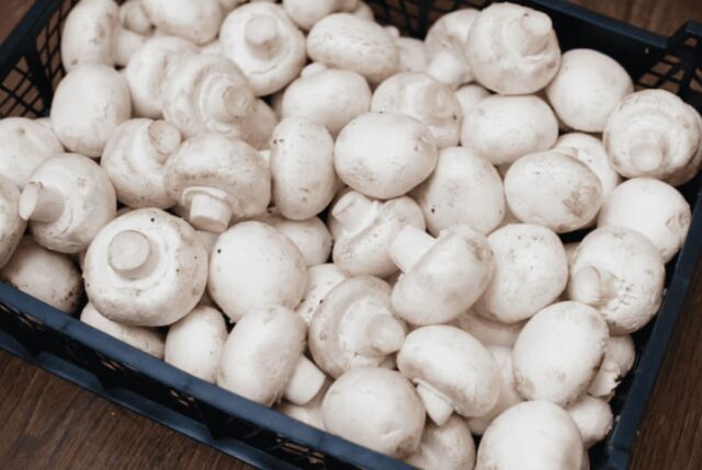 Беларусь возглавила пятерку  крупнейших импортеров российских шампиньонов 2026