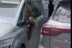 בהלת ענק בדרום: חנויות נסגרו, אנשים צרחו 2026 - צֶדֶק - iustitia. Bg בהלת ענק בדרום: חנויות נסגרו, אנשים צרחו