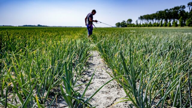 Boeren overtreden regels bestrijdingsmiddelen, NVWA vindt dat zorgwekkend 2026