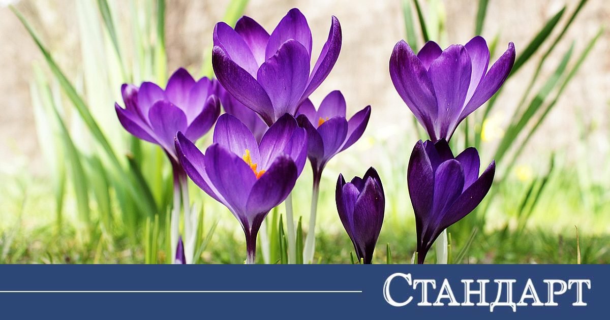 Юстиция юстиция | разследваща журналистика, новини, анализи | iustitia. Bg | юстиция chudno vreme utre samo edno myasto snyag 2026 юстиция jtndysuymghyzwylm0qlmjjodhrwcyuzqsuyriuyrm5ld3muz29vz2xllmnvbsuyrnb1ymxpy2f0aw9ucyuyrknbqxfcd2dltuxqnxlrc3c4nvroqxclm0zjzwlkjtneqkclm0fizyuynmftccuzqm9jjtnemyuymiuzrsuzq2ltzyuymgnsyxnzjtnejtiyywxpz25jzw50zxilmjb3cc1pbwfnzs0xnju3jtiwc2l6zs1mdwxsjtiyjtiwdgl0bgulm0qlmjilrdalqjmlrdelodmlrdalqjmlrdeloeelrdalqkilmjalrdalqkqlrdalqkulrdalqjilrdalqjglrdalqkqlrdalqjglmkmlmjalrdalqjmlrdalqkulrdalqkulrdalqjmlrdalqkilrdalqjulmjalrdalqkqlrdalqkulrdalqjilrdalqjglrdalqkqlrdalqjglmkmlmjalrdalqjmlrdelodmlrdalqjmlrdeloeelrdalqkilmjalrdalqkqlrdeloeulrdalqjclmkmlmjalrdalqjmlrdeloeelrdalqjmlrdeloeelrdalqkilmjalrdalqkqlrdeloeulrdalqjclmkmlmjbnb29nbgulmjbuzxdzjtjdjtiwbmv3cyuymgdvb2dszsuyqyuymgdvb2dszs5izyuyqyuymg5ld3muz29vz2xllmjnjtjdjtiwjuqwjuffjuqxjtgxjuqxjtgyjuqwjui4juqxjtg2juqwjui4juqxjthgjtjdjtiwjuqwjujejuqwjujfjuqwjuiyjuqwjui4juqwjujejuqwjui4jtjdjtiwjuqwjujgjuqwjujfjuqxjtgxjuqwjujcjuqwjui1juqwjui0juqwjujejuqwjujfjuqxjtgyjuqwjujfjtjdjtiwjuqwjujejuqwjuiwjuqwjui5lsvemcvcmivemcvcmcvemcvcnivemcvcrcvemcvcrsvemsu4mivemcvcrsuyqyuymcvemcvcmivemcvcocvemcvcncvemcvcnsvemcvcrsuyqyuymcvemsu4mivemcvcnsvemcvcqivemcvcnsvemcvcmivemcvcocvemcvcnyvemcvcocvemsu4riuyqyuymcvemsu4mcvemcvcmcvemcvcncvemcvcocvemcvcrsuyqyuymcvemcu5rcvemcvcrsvemcvcmivemcvcocvemcvcrcvemcvcocuyqyuymcvemcvcrivemcvcnsvemsu4mivemsu4qsvemsu4mcuymcvemcvcrcvemcvcocvemcvcnyvemcvcmcvemcvcqyvemcvcrsvemcvcmiuymiuymhnyyyuzrcuymmh0dhalm0elmkylmkz3d3cuaxvzdgl0aweuymclmkz3cc1jb250zw50jtjgdxbsb2fkcyuyrjiwmjmlmkywmyuyrkdvb2dszs1ozxdzlwl1c3rpdglhlwjnlxbldgfylw5pemftb3yud2viccuymiuymgfsdcuzrcuymivemcvcmyvemsu4myvemcvcmyvemsu4qsvemcvcqiuymcvemcvcrcvemcvcrsvemcvcmivemcvcocvemcvcrcvemcvcocuyqyuymcvemcvcmyvemcvcrsvemcvcrsvemcvcmyvemcvcqivemcvcnsuymcvemcvcrcvemcvcrsvemcvcmivemcvcocvemcvcrcvemcvcocuyqyuymcvemcvcmyvemsu4myvemcvcmyvemsu4qsvemcvcqiuymcvemcvcrcvemsu4rsvemcvcnyuyqyuymcvemcvcmyvemsu4qsvemcvcmyvemsu4qsvemcvcqiuymcvemcvcrcvemsu4rsvemcvcnyuyqyuymgdvb2dszsuymg5ld3mlmkmlmjbuzxdzjtiwz29vz2xljtjdjtiwz29vz2xllmjnjtjdjtiwbmv3cy5nb29nbguuymclmkmlmjalrdalquulrdelodelrdelodilrdalqjglrdelodylrdalqjglrdeloeylmkmlmjalrdalqkqlrdalqkulrdalqjilrdalqjglrdalqkqlrdalqjglmkmlmjalrdalqkylrdalqkulrdelodelrdalqkilrdalqjulrdalqjqlrdalqkqlrdalqkulrdelodilrdalqkulmkmlmjalrdalqkqlrdalqjalrdalqjktjuqwjuiyjuqwjuiwjuqwjui2juqwjujejuqwjujfjuqxjtgyjuqwjujfjtjdjtiwjuqwjuiyjuqwjui4juqwjui0juqwjui1juqwjujfjtjdjtiwjuqxjtgyjuqwjui1juqwjujcjuqwjui1juqwjuiyjuqwjui4juqwjui3juqwjui4juqxjthgjtjdjtiwjuqxjtgwjuqwjuiwjuqwjui0juqwjui4juqwjujfjtjdjtiwjuqwjtlejuqwjujfjuqwjuiyjuqwjui4juqwjujejuqwjui4jtjdjtiwjuqwjujgjuqwjui1juqxjtgyjuqxjthbjuqxjtgwjtiwjuqwjujejuqwjui4juqwjui3juqwjuiwjuqwjujdjuqwjujfjuqwjuiyjtiyjtiwd2lkdgglm0qlmjizmdalmjilmjbozwlnahqlm0qlmjixmdulmjilmjalmkylm0ulm0mlmkzhjtnfjtndadmlmjbzdhlszsuzrcuymnrlehqtywxpz24lm0elmjbjzw50zxilm0ilmjilm0ulm0nzdhjvbmclm0ulrdalqtalrdalqjulrdalqkelrdalqkilrdalqjalrdalqkmlrdalqjglrdelodalrdalqjalrdalqjklrdelodilrdalqjulmjalrdalqkylrdelodalrdalqjglmjalrdalqkqlrdalqjalrdelodehjtndjtjgc3ryb25njtnfjtndjtjgadmlm0ulmeqlmeelm0nhjtiwahjlziuzrcuymmh0dhbzjtnbjtjgjtjgaxvzdgl0aweuymclmkzyzwtsyw1pjtjgjtiyjtnfjtndaw1njtiwy2xhc3mlm0qlmjjhbglnbmnlbnrlciuymhdwlwltywdlltgxnda1jtiwc2l6zs1mdwxsjtiyjtiwdgl0bgulm0qlmjilrdalqtalrdalqjulrdalqkelrdalqkilrdalqjalrdalqkmlrdalqjglrdelodalrdalqjalrdalqjklrdelodilrdalqjulmjalrdalqkylrdelodalrdalqjglmjalrdalqkqlrdalqjalrdelodehjtiwjuqwjuffjuqwjuexjuqwjueyjuqwjtk4juqwjue2juqwjtk4juqwjufgjtiwlsuymelvu1rjvelblkjhjtiyjtiwc3jjjtnejtiyahr0chmlm0elmkylmkzpdxn0axrpys5izyuyrndwlwnvbnrlbnqlmkz1cgxvywrzjtjgmjaynsuyrjewjtjgcmvrbgftaxjhaxrllxbyas1uyxmud2viccuymiuymgfsdcuzrcuymivemcvbmcvemcvcnsvemcvcqsvemcvcqivemcvcmcvemcvcqyvemcvcocuymcvemcvbmcvemcvcnsvemcvcqsvemcvcqivemcvcmcvemcvcqyvemcvcmcuymcvemcvcncvemcvcocvemcvcmyvemcvcocvemsu4mivemcvcmcvemcvcqivemcvcnsvemcvcrcuymcvemcvcqyvemcvcmcvemsu4mcvemcvcqsvemcvcnsvemsu4mivemcvcocvemcvcrcvemcvcmyuymcvemcvbmcvemcvcnsvemcvcqsvemcvcqivemcvcmcvemcvcqyvemcvcocvemsu4mcvemcvcmcvemcvcosvemsu4mivemcvcnsuymcvemcvcrivemsu4mcvemcvcocuymcvemcvcrcvemcvcmcvemsu4msuymcvemsu4msuymcvemcvbrsvemcvbmsvemcvbmivemcu5ocvemcvbnivemcu5ocvemcvbriuymc0lmjbjvvnusvrjqs5cryuymcvemcvbmcvemcvcnsvemcvcqsvemcvcqivemcvcmcvemcvcqyvemcvcocvemsu4mcvemcvcmcvemcvcosvemsu4mivemcvcnsuymcvemcvcrivemsu4mcvemcvcocuymcvemcvcrcvemcvcmcvemsu4mselmjalrdalquulrdalqtelrdalqtilrdalotglrdalqtylrdalotglrdalquylmjatjtiwsvvtvelusueuqkclmjbyzwtsyw1pcmfpdgulmjbwcmklmjbuyxmlmjilmjb3awr0acuzrcuymjeymdalmjilmjbozwlnahqlm0qlmji2mjglmjilmjalmkylm0ulm0mlmkzhjtnf юстиция юстиция