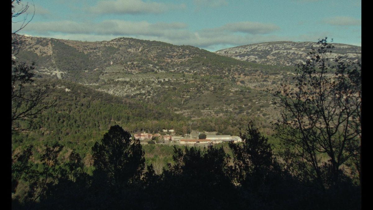 La finca de vistabella del maestrat (castellón) en la que estaba instalada la chaparra.