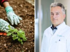 Dirbate sode? Kelkite, dirbkite ir ilsėkitės teisingai: gydytojas paaiškina, kaip išvengti skausmų 2026 Dirbate sode? Kelkite, dirbkite ir ilsėkitės teisingai: gydytojas paaiškina, kaip išvengti skausmų 2026