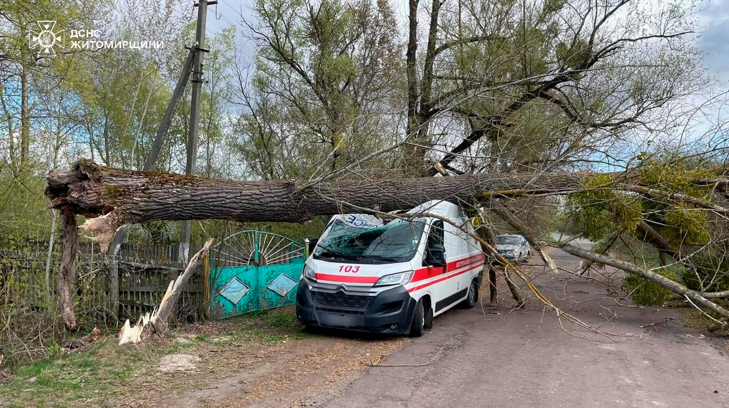 Новини дснс: на житомирщині дерево впало на "швидку", на київщині падіння дерев спричинило пожежу 2026 dsns zhitomirshtini derevo vpalo shvidku kiyivshtini pa 4 новини рятувальники ліквідують наслідки негоди в різних областях україни. Джерело: державна служба з надзвичайних... Iustitia. Bg дснс: на житомирщині дерево впало на "швидку", на київщині падіння дерев спричинило пожежу 2026 2026-04-24 13:52:00 справедливість - юстиция новини