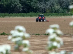 ΕΛΓΑ: Πληρώνονται σήμερα αποζημιώσεις 73 εκατ. ευρώ για ζημιές του 2025 2026 ΕΛΓΑ: Πληρώνονται σήμερα αποζημιώσεις 73 εκατ. ευρώ για ζημιές του 2025 2026